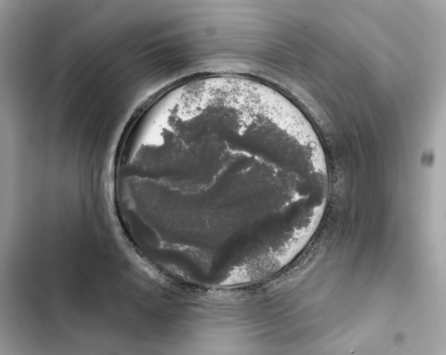 X0000101980840200808151359