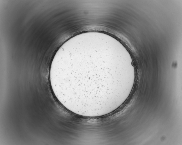 X0000101980841200808151359