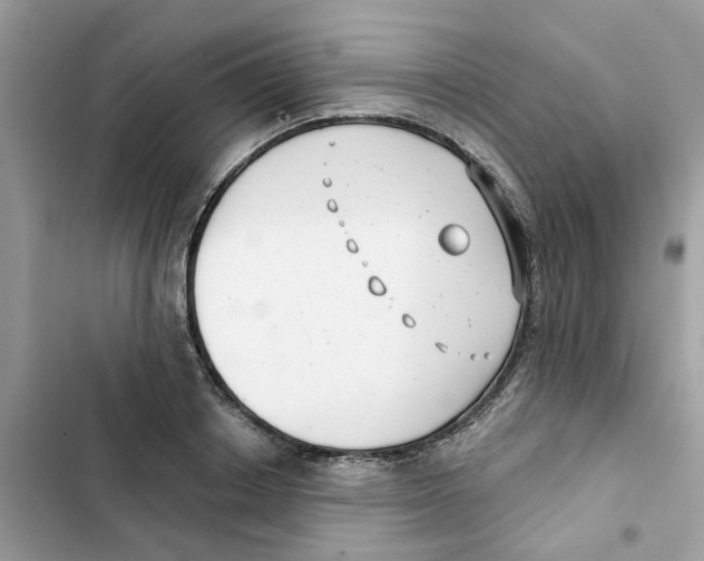 X0000101980842200808151359