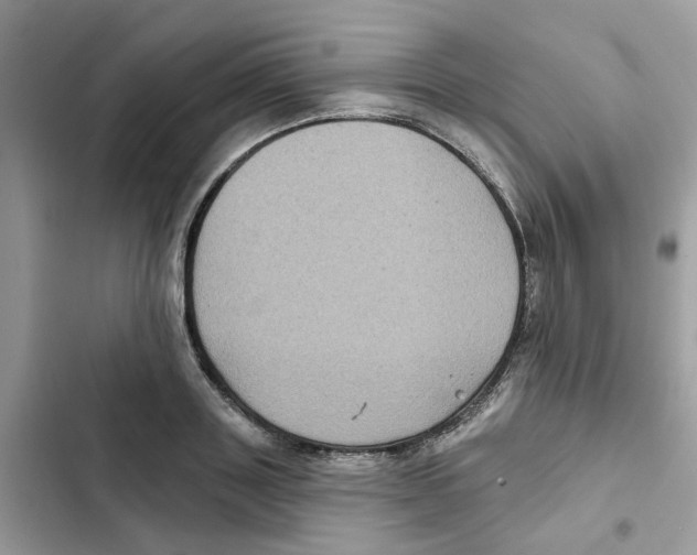 X0000101980843200808151359