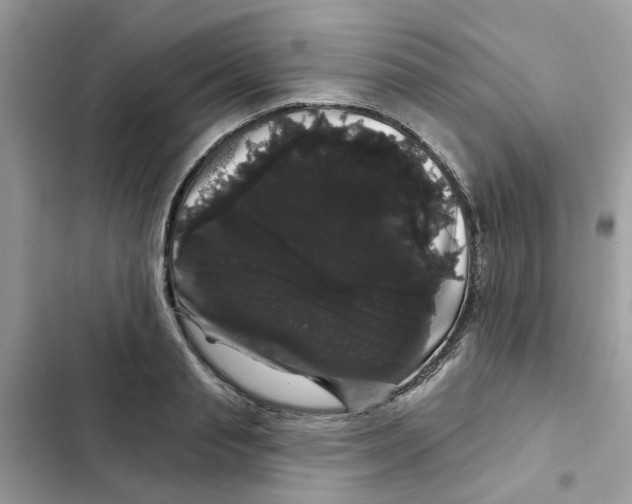 X0000101980845200808151359