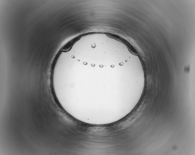 X0000101980846200808151359