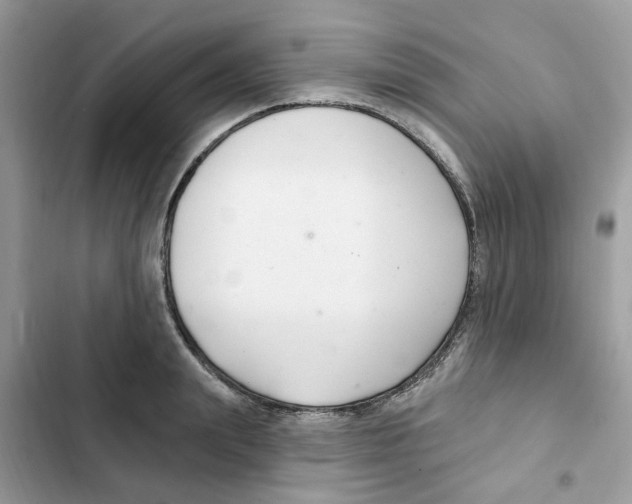 X0000101980847200808151359