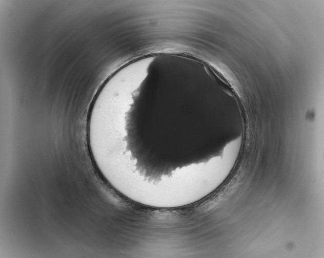 X0000101980850200808151359