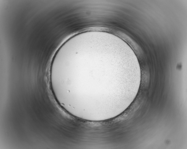 X0000101980852200808151359