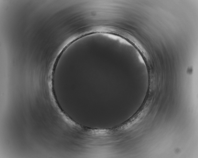 X0000101980853200808151359