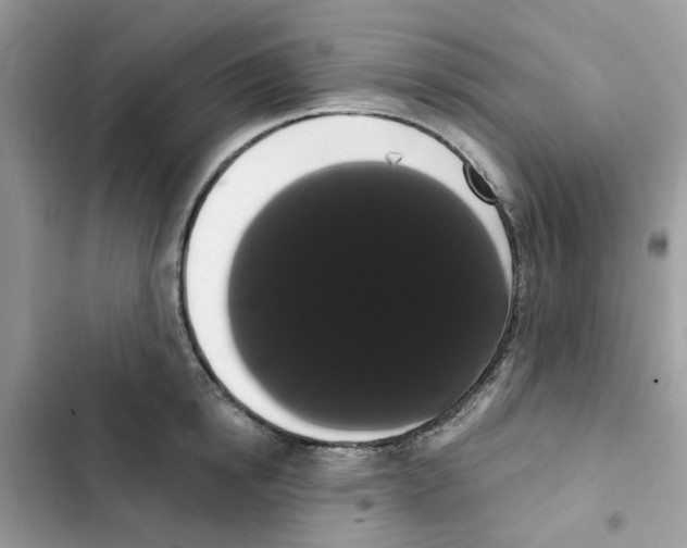 X0000101980854200808151359