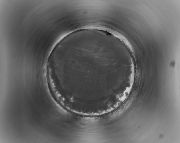 X0000101980855200808151359