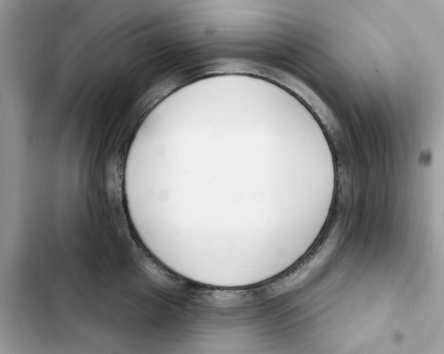 X0000101980857200808151359