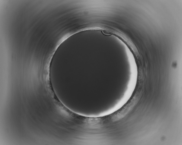 X0000101980858200808151359