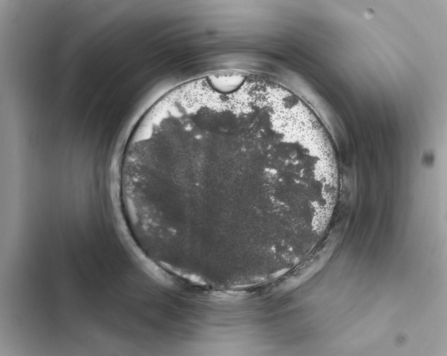 X0000101980859200808151359