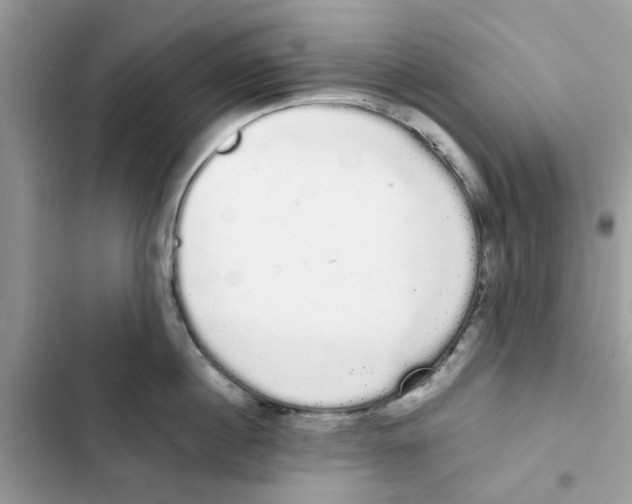 X0000101980860200808151359