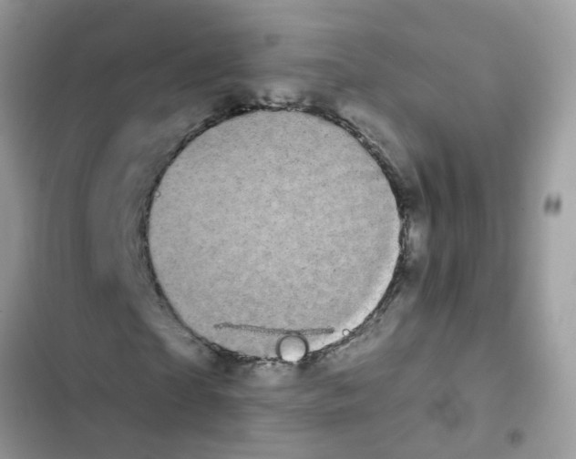 X0000101980865200808151359