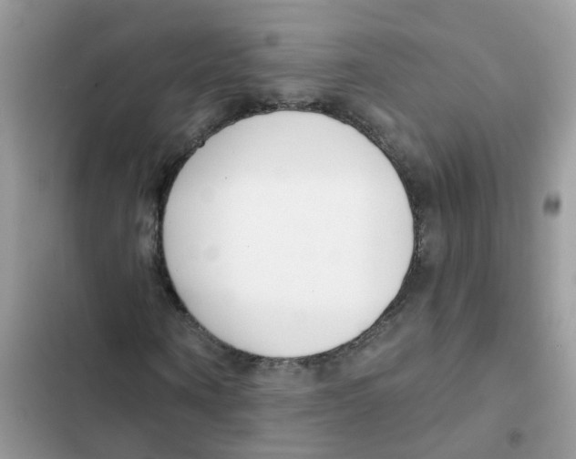 X0000101980866200808151359