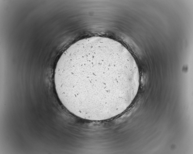 X0000101980867200808151359