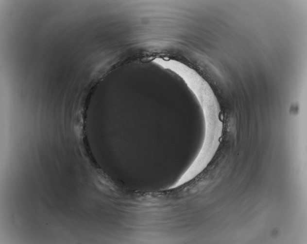 X0000101980868200808151359