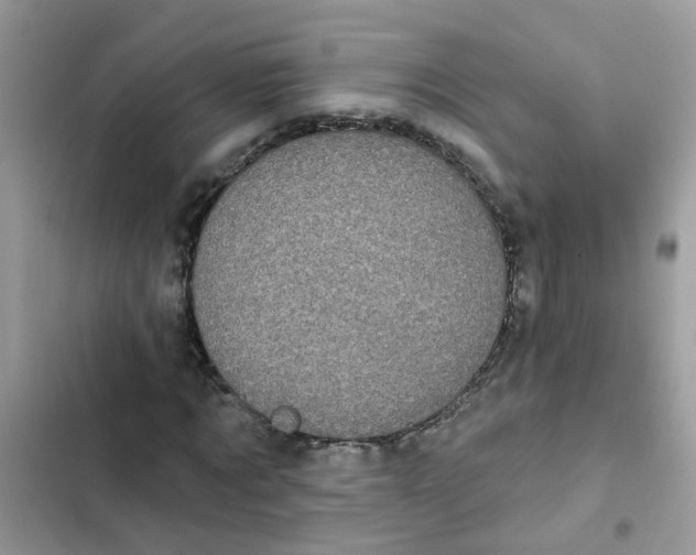 X0000101980869200808151359