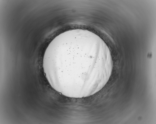 X0000101980870200808151359