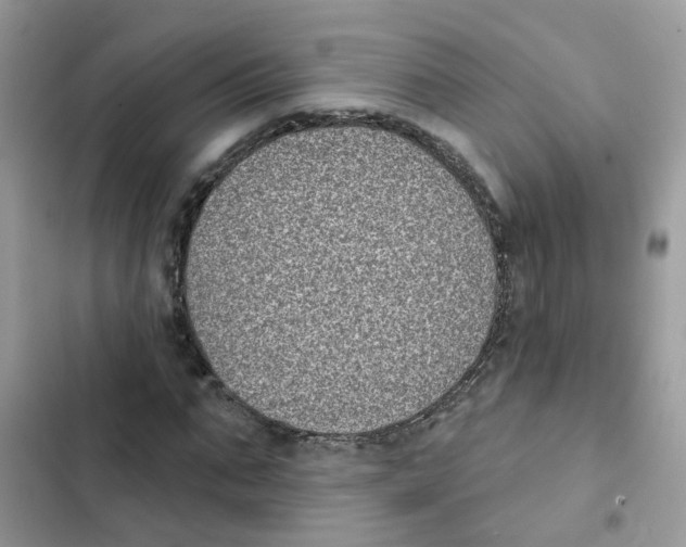 X0000101980871200808151359