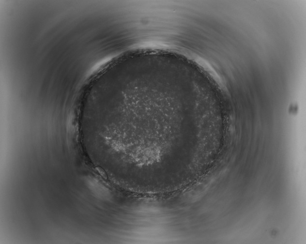 X0000101980872200808151359