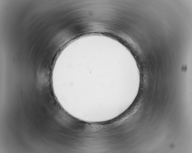 X0000101980873200808151359