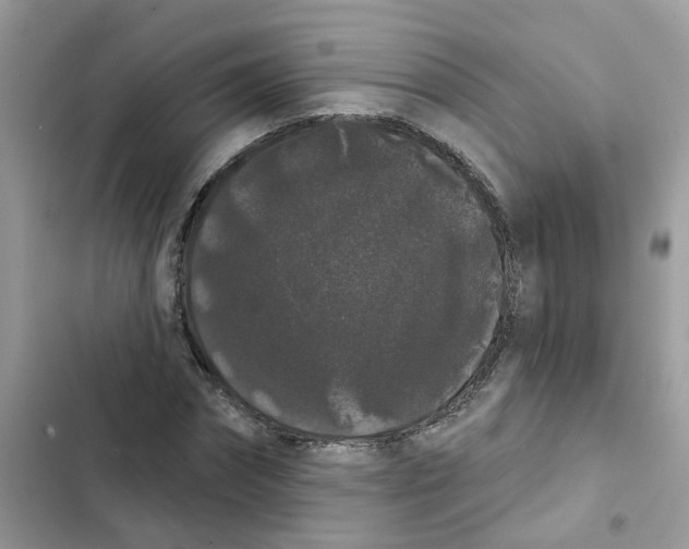 X0000101980874200808151359