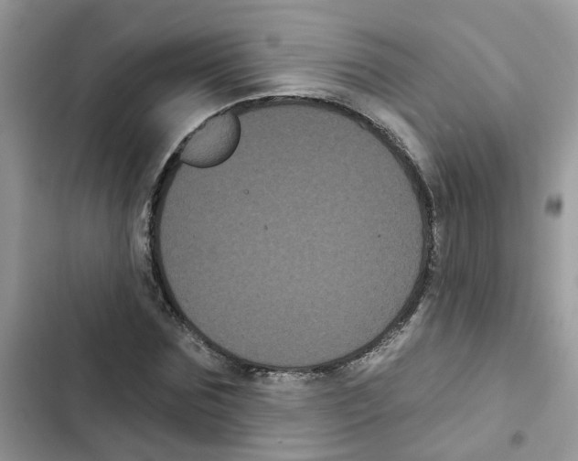 X0000101980875200808151359