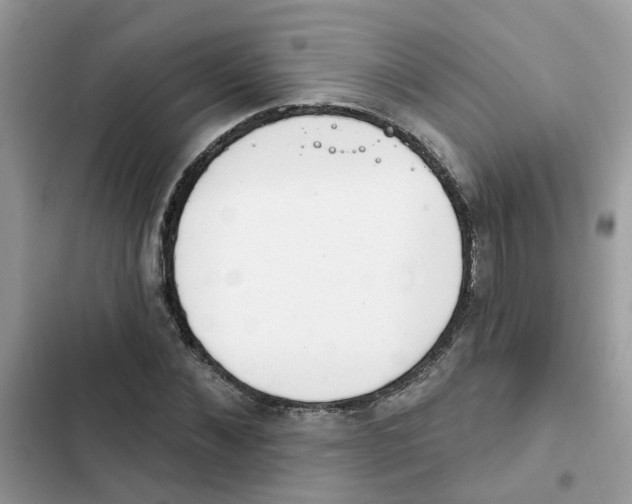 X0000101980876200808151359