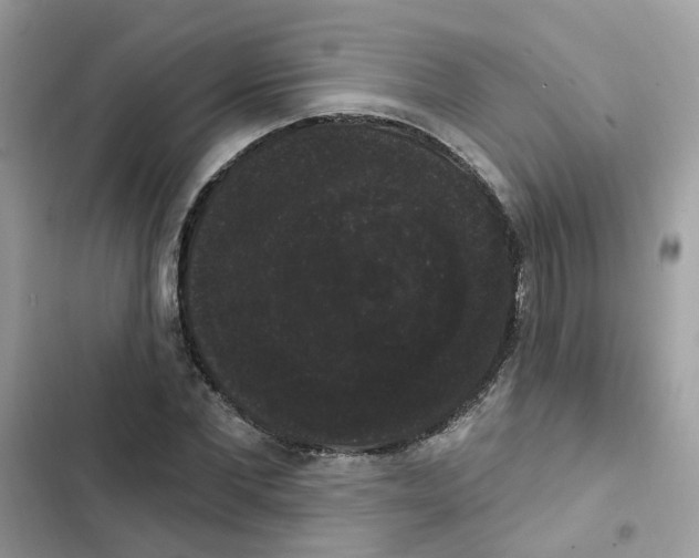 X0000101980877200808151359