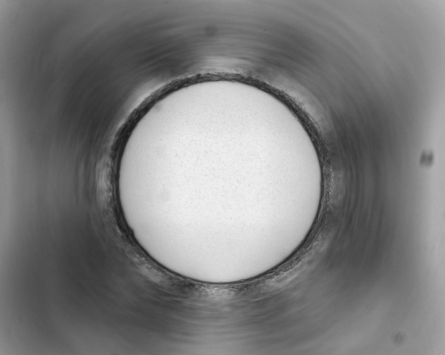 X0000101980878200808151359