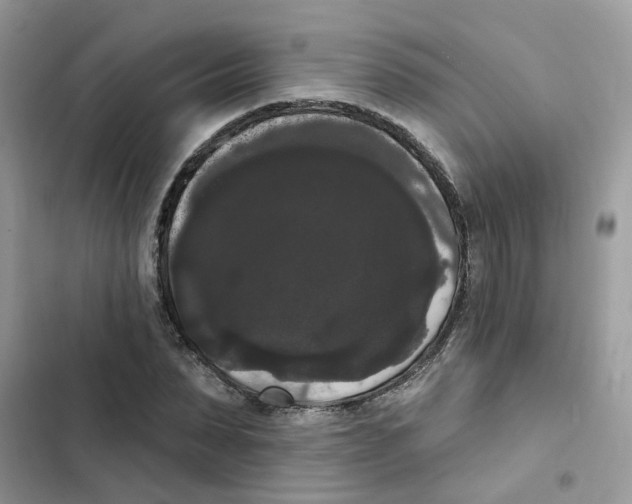 X0000101980879200808151359