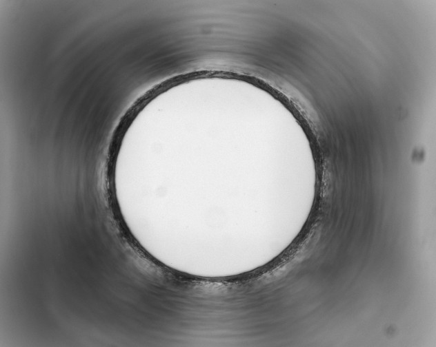 X0000101980880200808151359