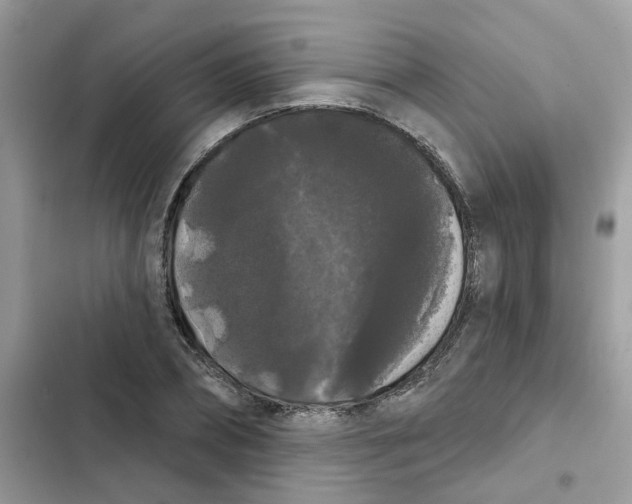 X0000101980882200808151359