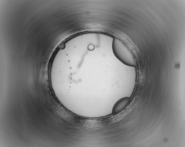 X0000101980883200808151359