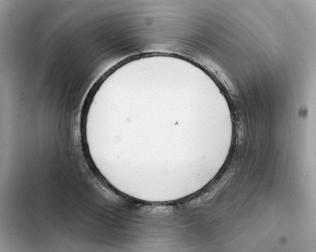 X0000101980884200808151359