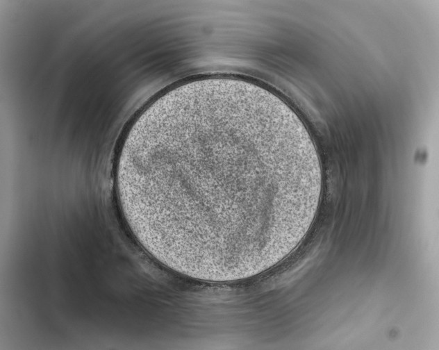 X0000101980885200808151359