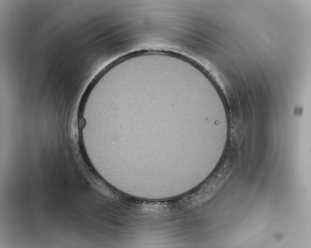 X0000101980887200808151358