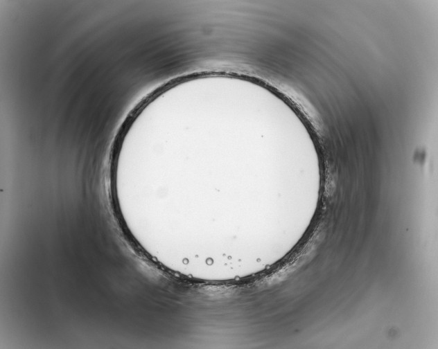 X0000101980888200808151358