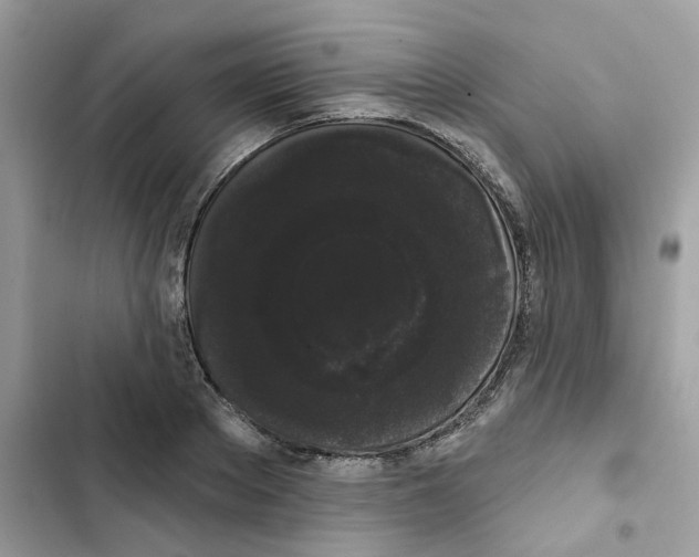 X0000101980889200808151358