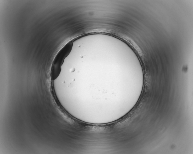 X0000101980890200808151358