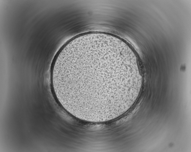 X0000101980891200808151358