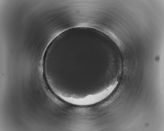 X0000101980892200808151358