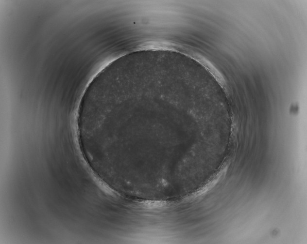 X0000101980893200808151358