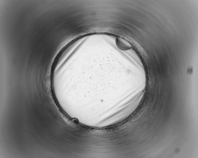 X0000101980894200808151358