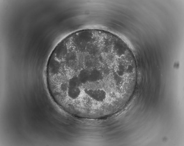 X0000101980895200808151358