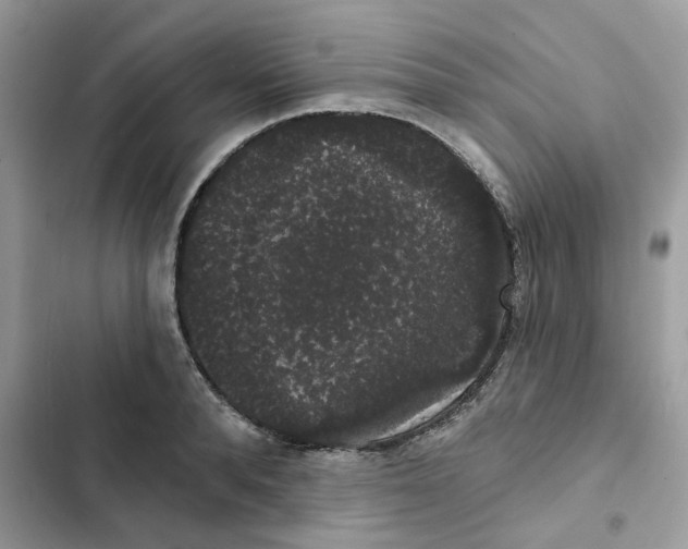 X0000101980896200808151358