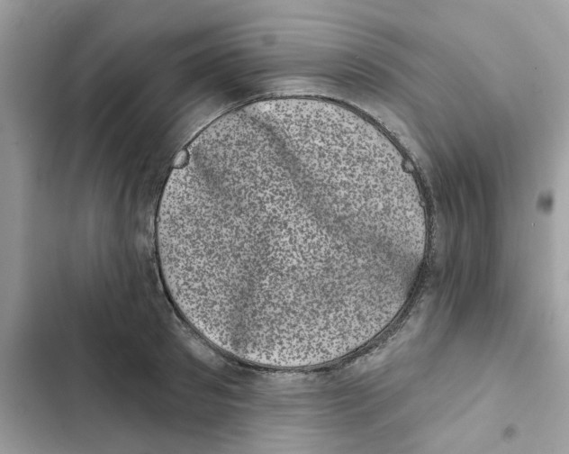 X0000101980897200808151358