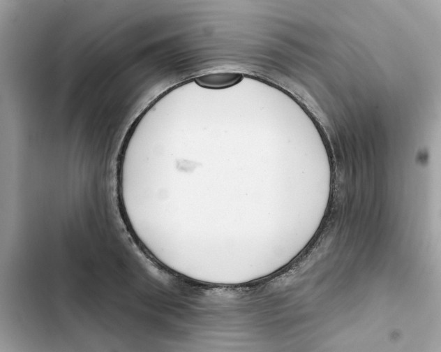 X0000101980898200808151358