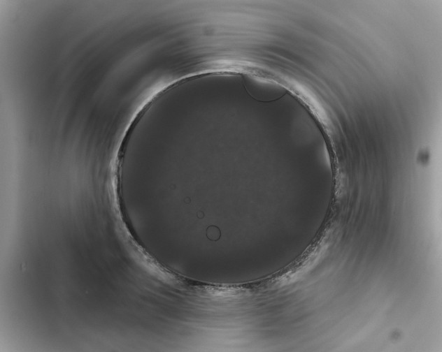 X0000101980899200808151358