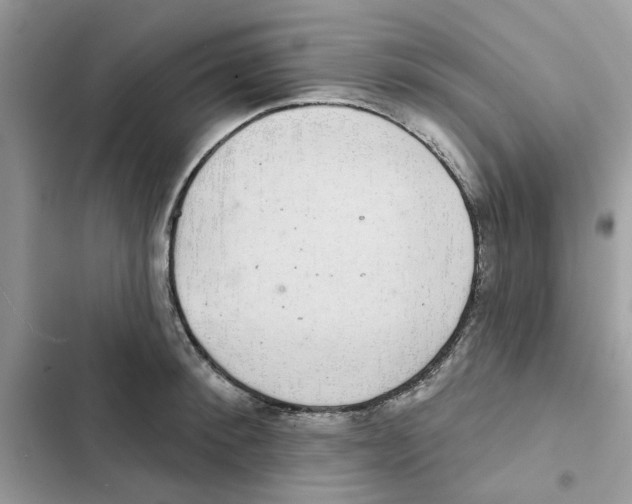 X0000101980900200808151358